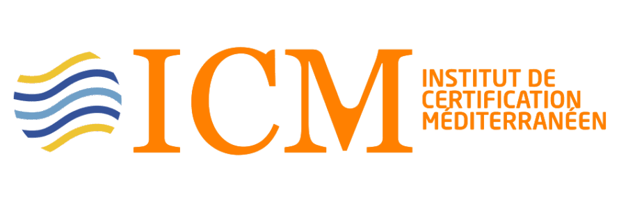 Audit workflow management
